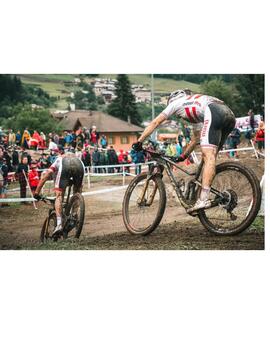 vittoria barzo 29x2.25 tan